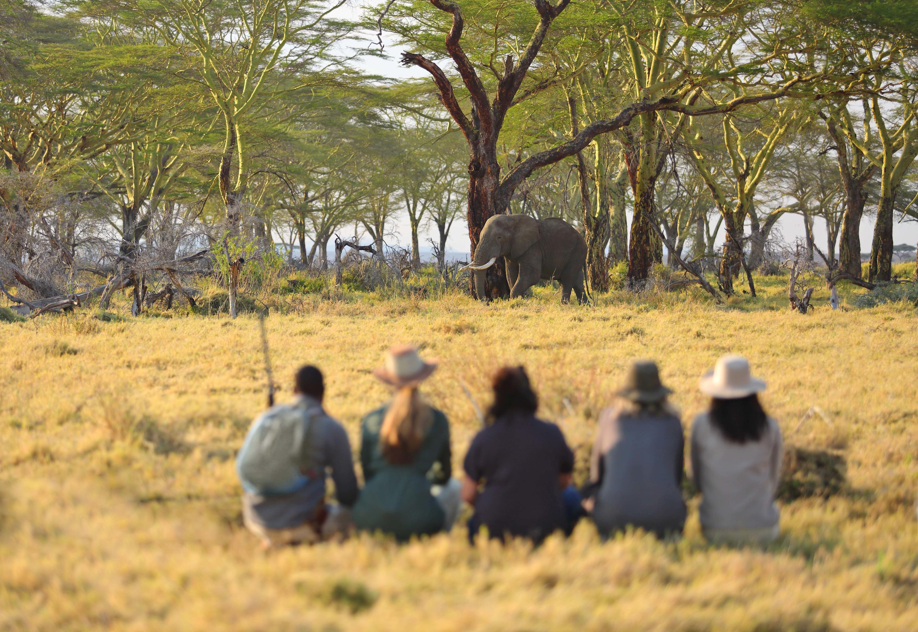 Namiri Plains Retreat thumbnail 13